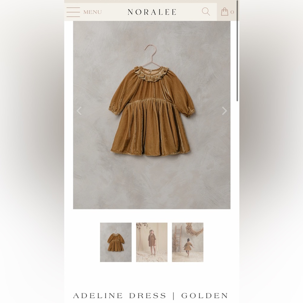 Noralee Gold Velvet Dress